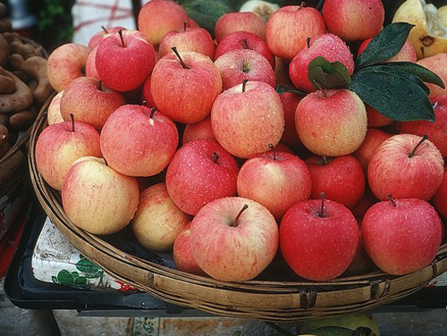 Ngất ng&acirc;y đường t&aacute;o Lệ Giang